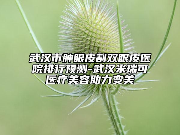 武汉市肿眼皮割双眼皮医院排行预测-武汉米瑞可医疗美容助力变美