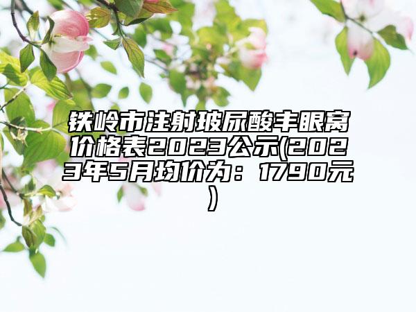 铁岭市注射玻尿酸丰眼窝价格表2023公示(2023年5月均价为：1790元）