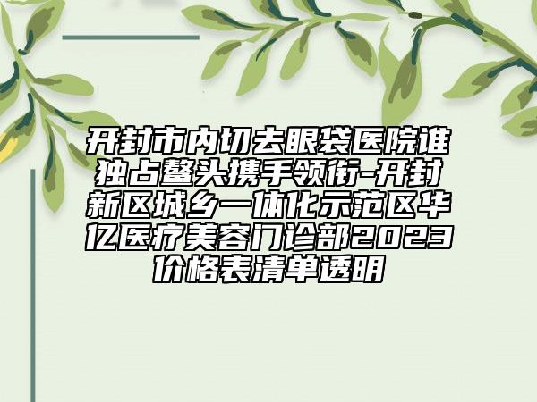开封市内切去眼袋医院谁独占鳌头携手领衔-开封新区城乡一体化示范区华亿医疗美容门诊部2023价格表清单透明