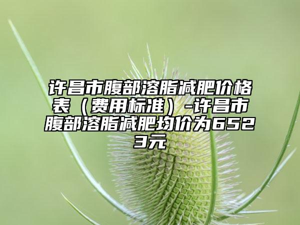许昌市腹部溶脂减肥价格表（费用标准）-许昌市腹部溶脂减肥均价为6523元
