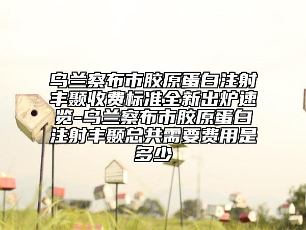 乌兰察布市胶原蛋白注射丰颞收费标准全新出炉速览-乌兰察布市胶原蛋白注射丰颞总共需要费用是多少
