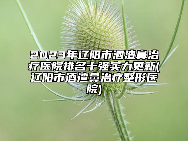 2023年辽阳市酒渣鼻治疗医院排名十强实力更新(辽阳市酒渣鼻治疗整形医院)