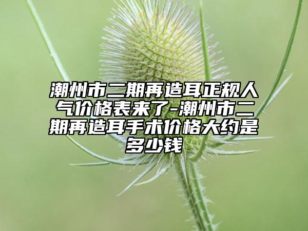 潮州市二期再造耳正规人气价格表来了-潮州市二期再造耳手术价格大约是多少钱