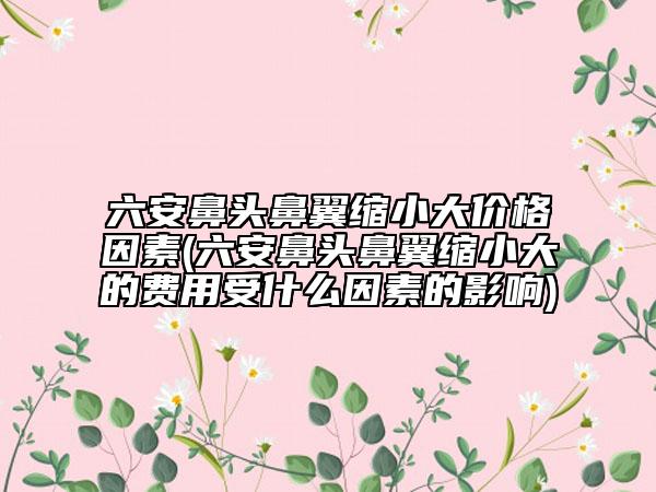 六安鼻头鼻翼缩小大价格因素(六安鼻头鼻翼缩小大的费用受什么因素的影响)