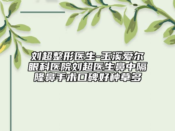 刘超整形医生-玉溪爱尔眼科医院刘超医生鼻中隔隆鼻手术口碑好种草多