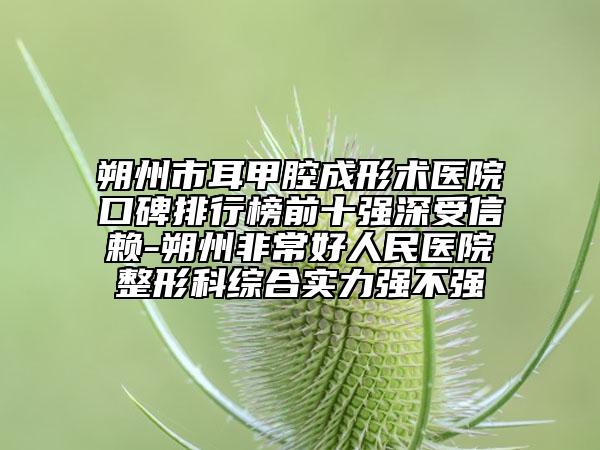 朔州市耳甲腔成形术医院口碑排行榜前十强深受信赖-朔州非常好人民医院整形科综合实力强不强
