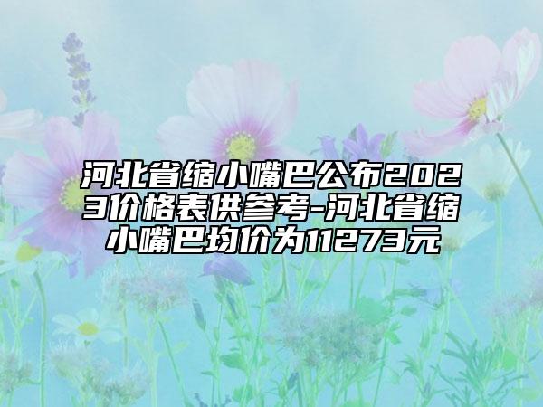 河北省缩小嘴巴公布2023价格表供参考-河北省缩小嘴巴均价为11273元