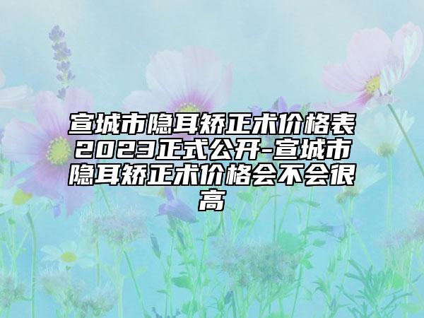 宣城市隐耳矫正术价格表2023正式公开-宣城市隐耳矫正术价格会不会很高