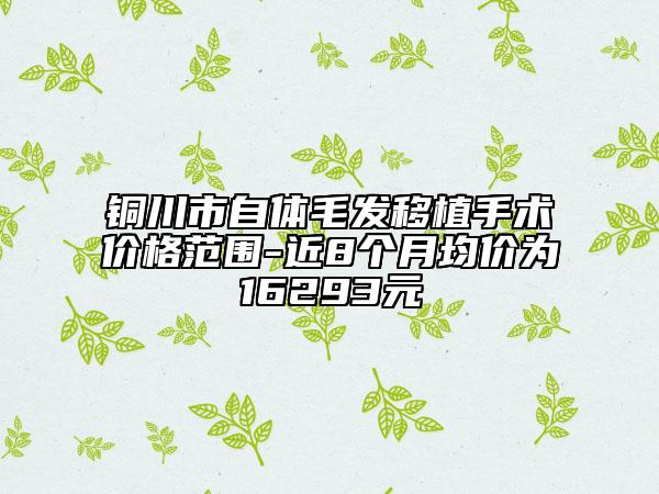铜川市自体毛发移植手术价格范围-近8个月均价为16293元