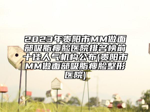 2023年贵阳市MM做面部吸脂瘦脸医院排名榜前十佳人气机构公布(贵阳市MM做面部吸脂瘦脸整形医院)