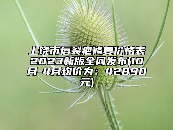 上饶市唇裂疤修复价格表2023新版全网发布(10月-4月均价为：42890元)