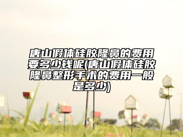 唐山假体硅胶隆鼻的费用要多少钱呢(唐山假体硅胶隆鼻整形手术的费用一般是多少)