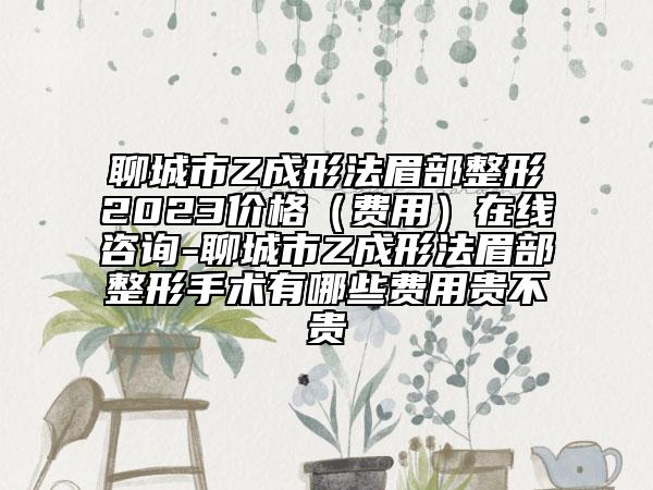 聊城市Z成形法眉部整形2023价格（费用）在线咨询-聊城市Z成形法眉部整形手术有哪些费用贵不贵