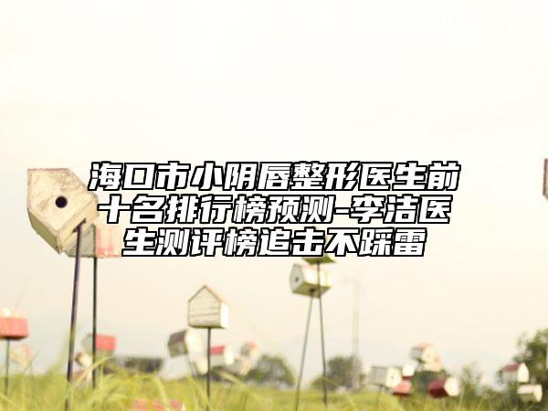 海口市小阴唇整形医生前十名排行榜预测-李洁医生测评榜追击不踩雷