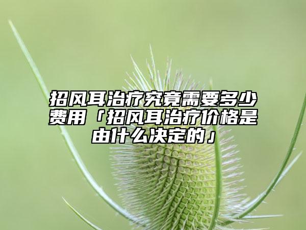 招风耳治疗究竟需要多少费用「招风耳治疗价格是由什么决定的」
