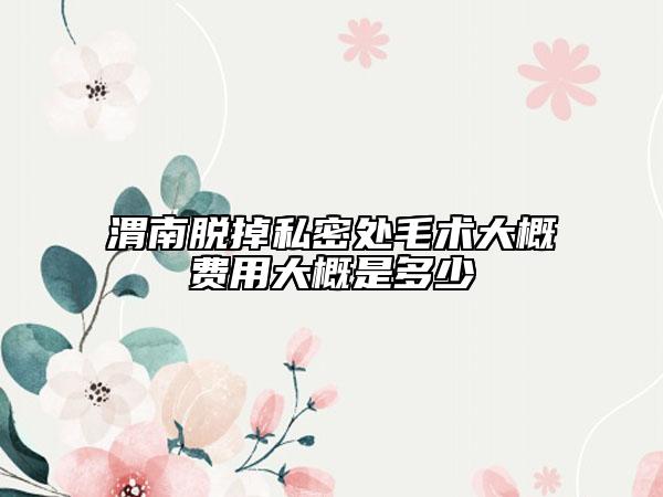 渭南脱掉私密处毛术大概费用大概是多少