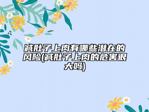 减肚子上肉有哪些潜在的风险(减肚子上肉的危害很大吗)