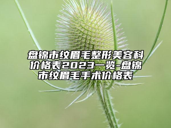 盘锦市纹眉毛整形美容科价格表2023一览-盘锦市纹眉毛手术价格表