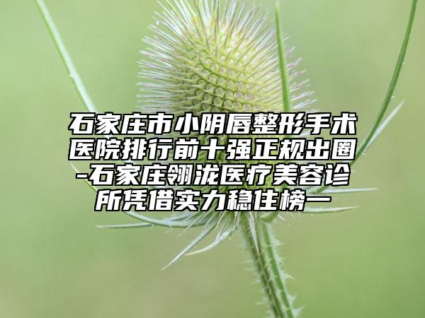 石家庄市小阴唇整形手术医院排行前十强正规出圈-石家庄翎泷医疗美容诊所凭借实力稳住榜一