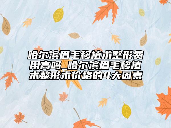 哈尔滨眉毛移植术整形费用高吗_哈尔滨眉毛移植术整形术价格的4大因素