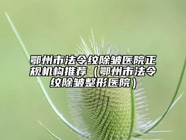 鄂州市法令纹除皱医院正规机构推荐（鄂州市法令纹除皱整形医院）