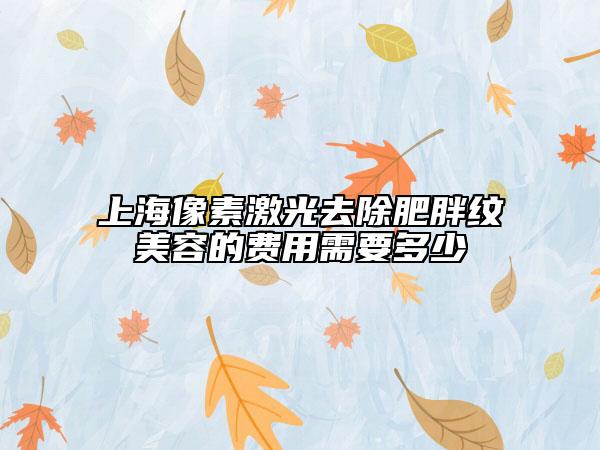 上海像素激光去除肥胖纹美容的费用需要多少