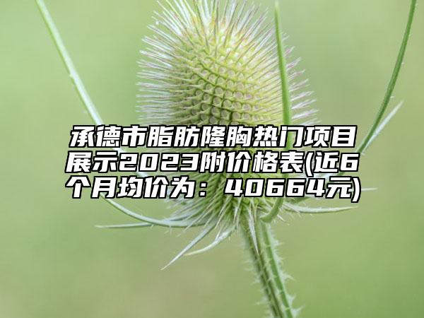 承德市脂肪隆胸热门项目展示2023附价格表(近6个月均价为：40664元)