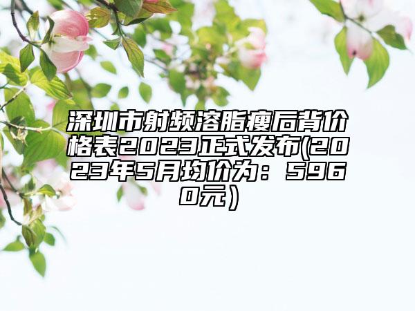 深圳市射频溶脂瘦后背价格表2023正式发布(2023年5月均价为：5960元）