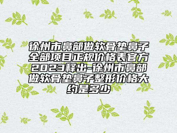 徐州市鼻部做软骨垫鼻子全部项目正规价格表官方2023释出-徐州市鼻部做软骨垫鼻子整形价格大约是多少