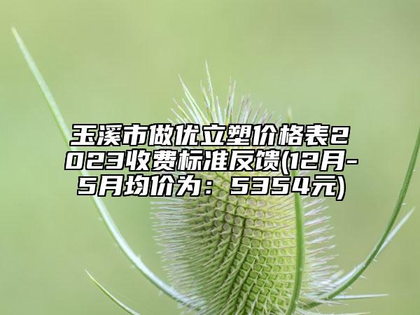 玉溪市做优立塑价格表2023收费标准反馈(12月-5月均价为：5354元)