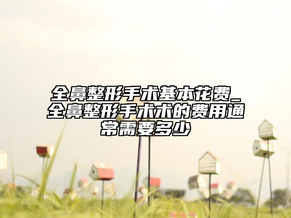 全鼻整形手术基本花费_全鼻整形手术术的费用通常需要多少