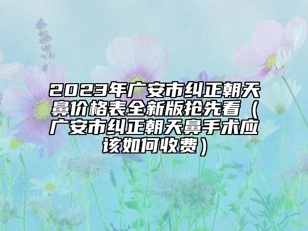 2023年广安市纠正朝天鼻价格表全新版抢先看（广安市纠正朝天鼻手术应该如何收费）