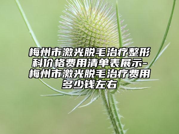 梅州市激光脱毛治疗整形科价格费用清单表展示-梅州市激光脱毛治疗费用多少钱左右