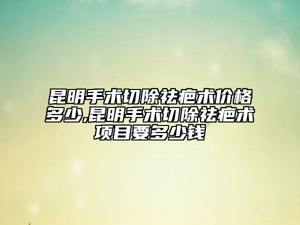 昆明手术切除祛疤术价格多少,昆明手术切除祛疤术项目要多少钱
