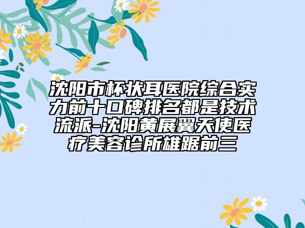 沈阳市杯状耳医院综合实力前十口碑排名都是技术流派-沈阳黄展翼天使医疗美容诊所雄踞前三