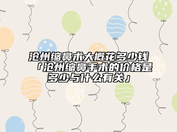 沧州缩鼻术大概花多少钱「沧州缩鼻手术的价格是多少与什么有关」