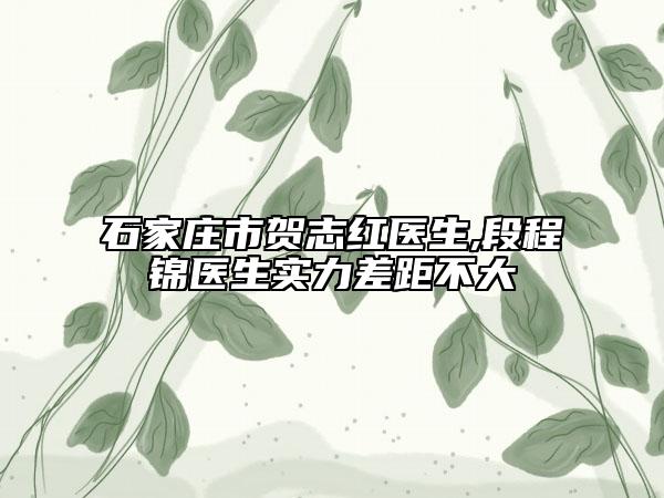 石家庄市贺志红医生,段程锦医生实力差距不大