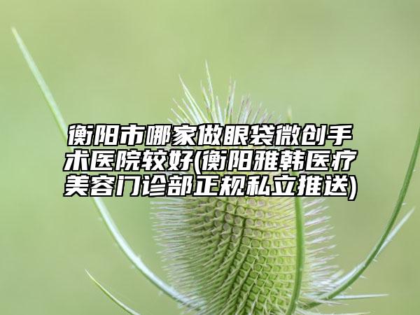 衡阳市哪家做眼袋微创手术医院较好(衡阳雅韩医疗美容门诊部正规私立推送)