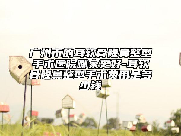 广州市的耳软骨隆鼻整型手术医院哪家更好-耳软骨隆鼻整型手术费用是多少钱