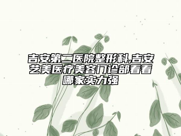 吉安第二医院整形科,吉安艺美医疗美容门诊部看看哪家实力强