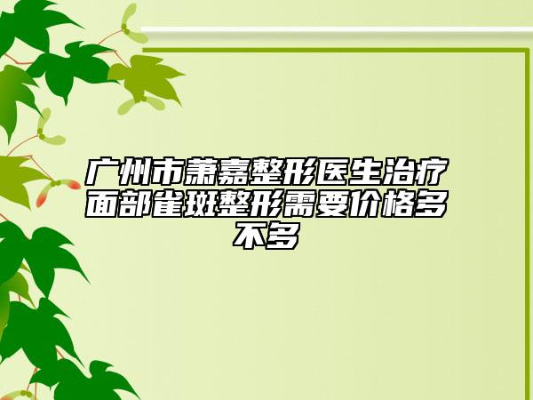 广州市萧嘉整形医生治疗面部雀斑整形需要价格多不多