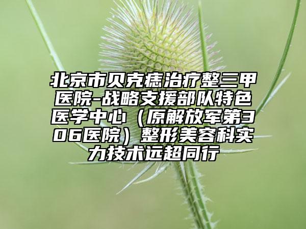 北京市贝克痣治疗整三甲医院-战略支援部队特色医学中心（原解放军第306医院）整形美容科实力技术远超同行