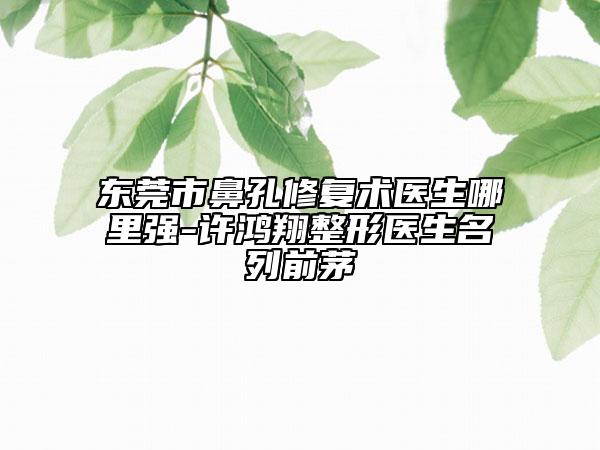 东莞市鼻孔修复术医生哪里强-许鸿翔整形医生名列前茅