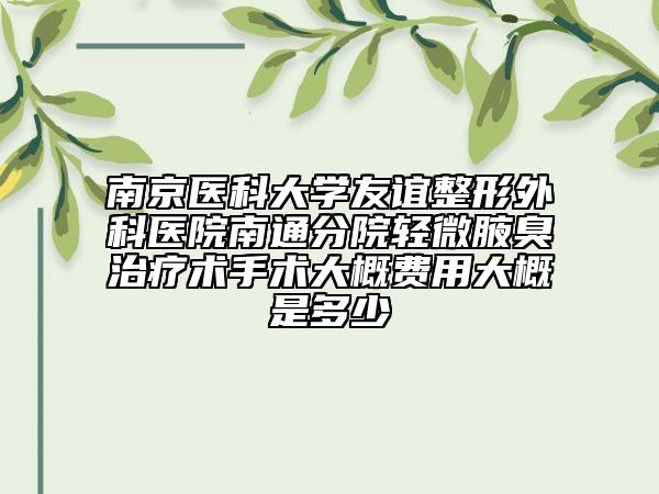 南京医科大学友谊整形外科医院南通分院轻微腋臭治疗术手术大概费用大概是多少