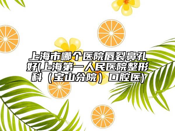 上海市哪个医院唇裂鼻孔好(上海第一人民医院整形科（宝山分院）口腔医)