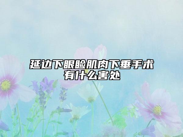 延边下眼睑肌肉下垂手术有什么害处