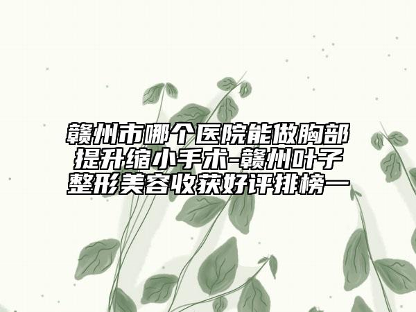 赣州市哪个医院能做胸部提升缩小手术-赣州叶子整形美容收获好评排榜一