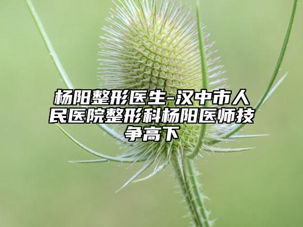 杨阳整形医生-汉中市人民医院整形科杨阳医师技争高下