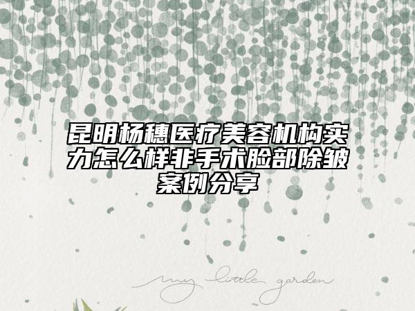 昆明杨穗医疗美容机构实力怎么样非手术脸部除皱案例分享