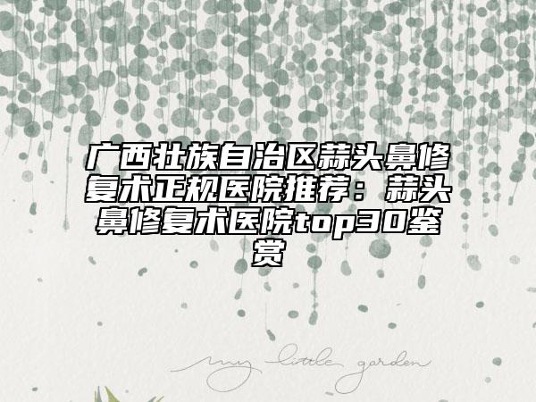 广西壮族自治区蒜头鼻修复术正规医院推荐：蒜头鼻修复术医院top30鉴赏
